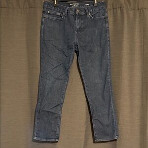Banana Republic Midnight Blue Travel Jeans